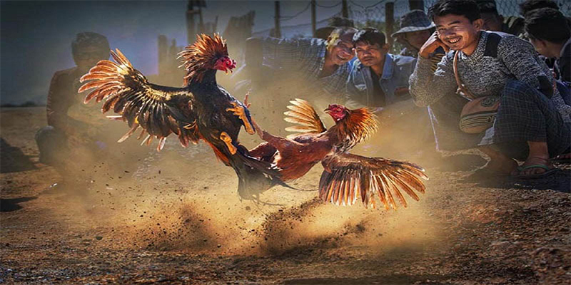 6789bet xổ số bữa nay