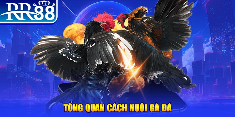 6789bet game nổ hũ rút tiền mặt là gì