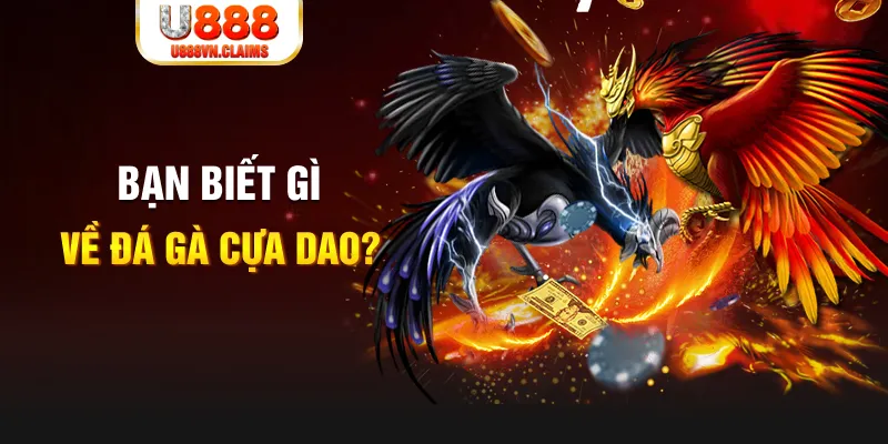 6789bet SW Xổ Số