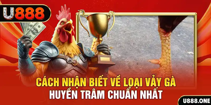 6789bet đăng nhập nổ hũ số 1