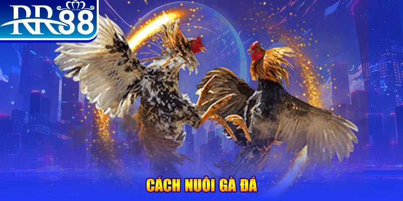6789bet đăng nhập phỏm đổi thưởng