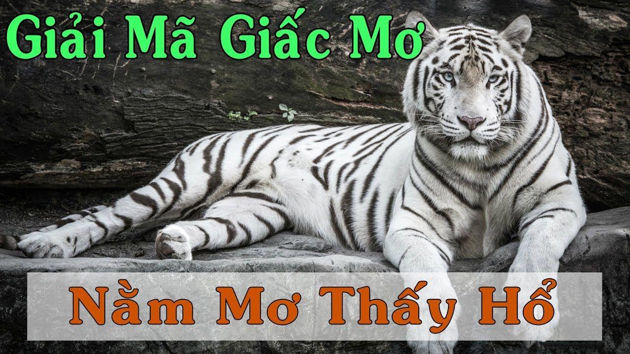 6789bet nổ hũ là game gì