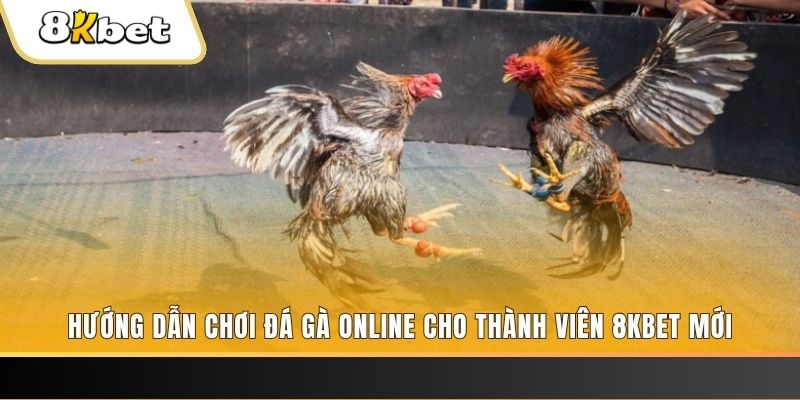 6789bet JILI Game Bài 3d