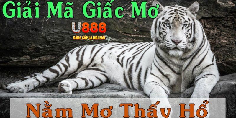 6789bet xổ số miền bắc xổ số miền bắc