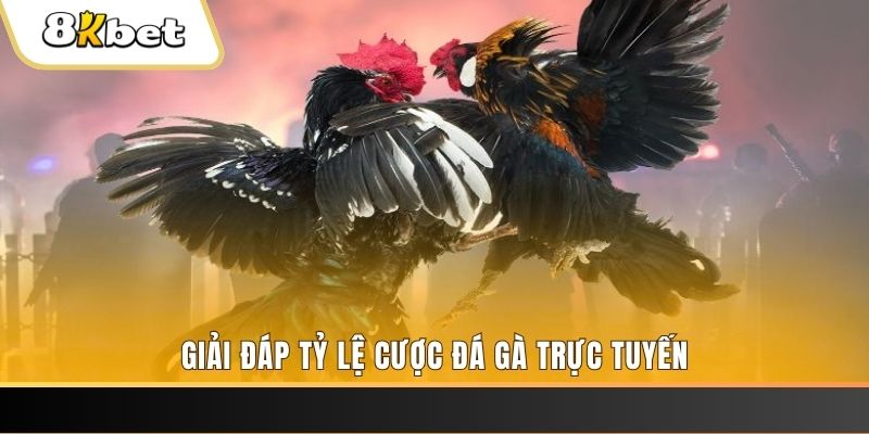 6789bet ga choi cau thanh