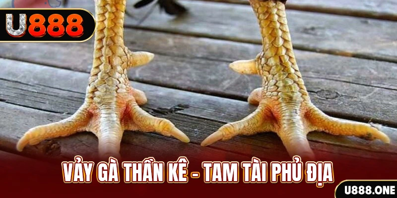 6789bet xổ số miền trung thứ hai hàng tuần
