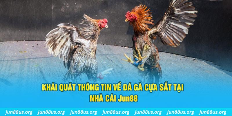 6789bet xổ số miền bắc thứ bảy hàng tuần