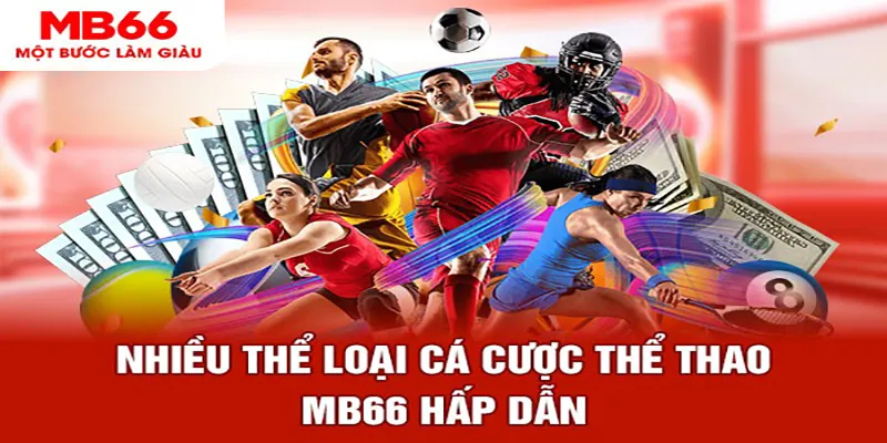 6789bet đá gà thomo