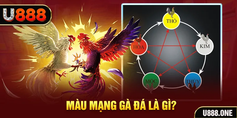 6789bet xổ số miền trung thứ tư hàng tuần