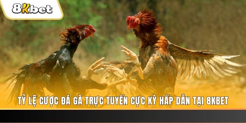 6789bet đăng nhập mậu binh online