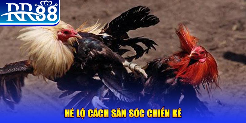 6789bet xổ số miền trung thứ tư