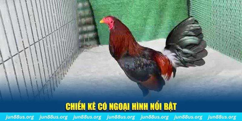 6789bet game bắn cá