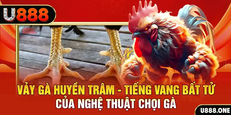 6789bet Cuộc gọi đã bị ngắt