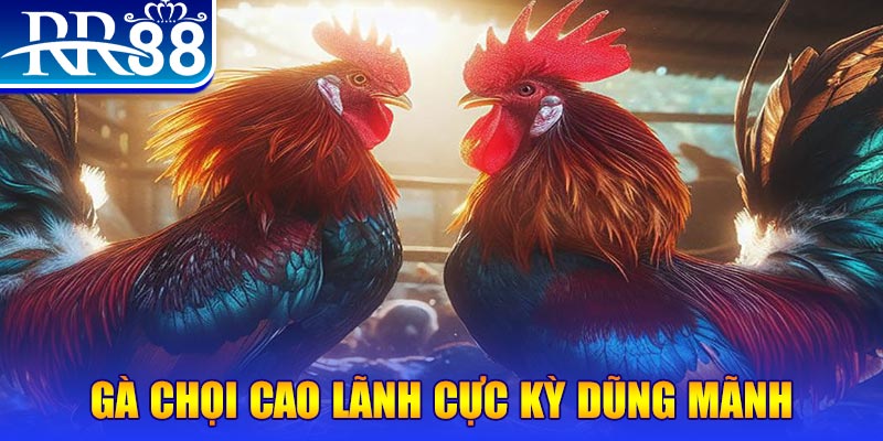 6789bet HB Điện Tử